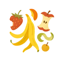 Fruits